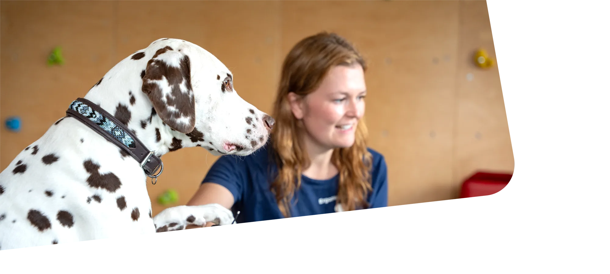 Team der Ergotherapie-Praxis ergopraxen