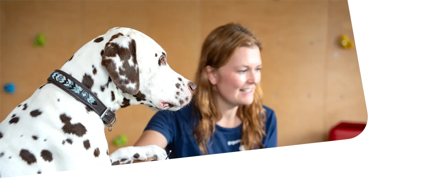 Team der Ergotherapie-Praxis ergopraxen